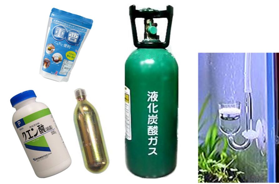 アクアリウムにおける維持費用 楽々アクア Com