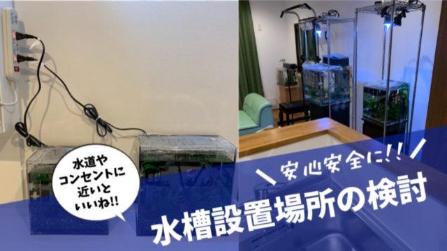 水槽設置場所 タグの記事一覧 楽々アクア Com
