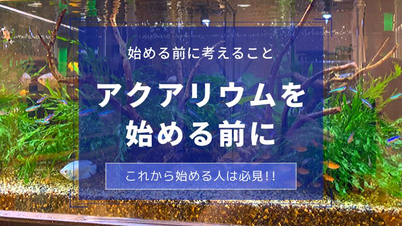 アクアリウムを始める前に メニュー 楽々アクア Com