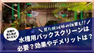 水槽用マットの代用品を100均やホームセンターで入手しよう 楽々アクア Com