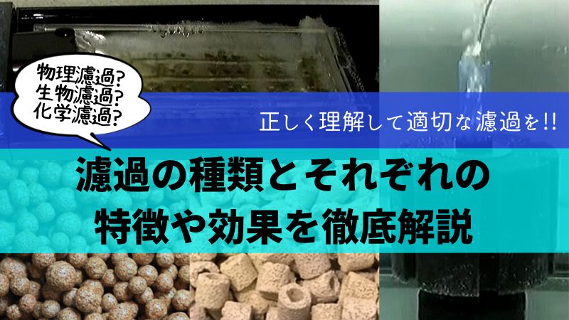 濾過の種類とそれぞれの特徴や効果を徹底解説 楽々アクア Com