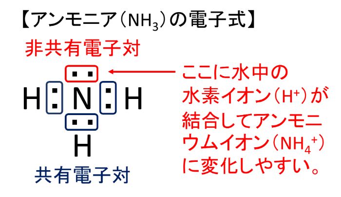 アンモニア（NH3）はアンモニウムイオン（NH4）に変化しやすい
