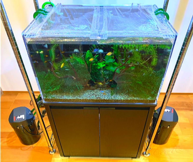 本物保証 ろ過 フィルター エーハイム 外部 アクア 水槽 魚用品 水草