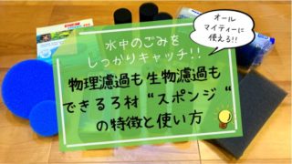 生物濾過能力が高い多孔質ろ材の特徴や使い方 楽々アクア Com