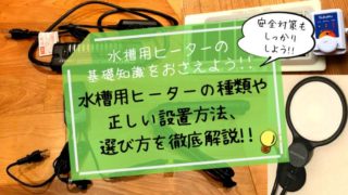 水槽用冷却ファンのメリットやデメリットと逆サーモも含めたおすすめ製品を紹介 楽々アクア Com