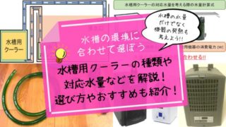 水槽用ヒーターの種類や正しい設置方法 選び方を徹底解説 楽々アクア Com