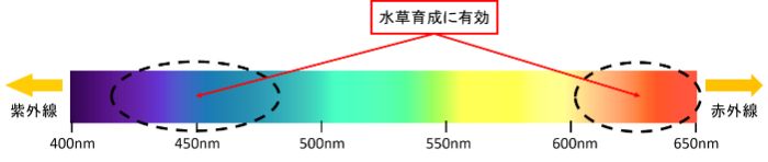 水槽用ライトを選ぶために必要な基礎知識を徹底的に解説 楽々アクア Com