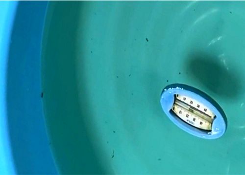 浮かべる水温計はビオトープやメダカ鉢などの屋外飼育での水温測定に便利